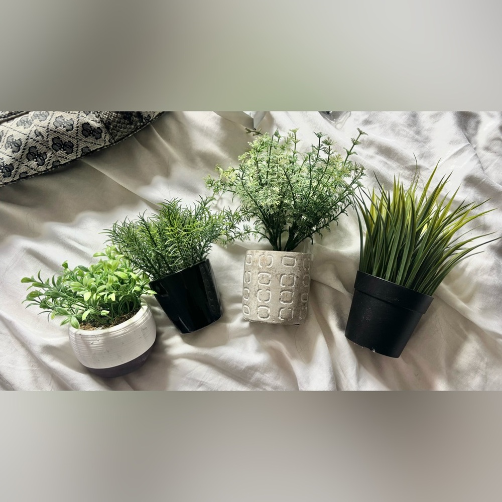 Small Decorative Fake Plants Set of 4 Greenery in Different Textured Pot